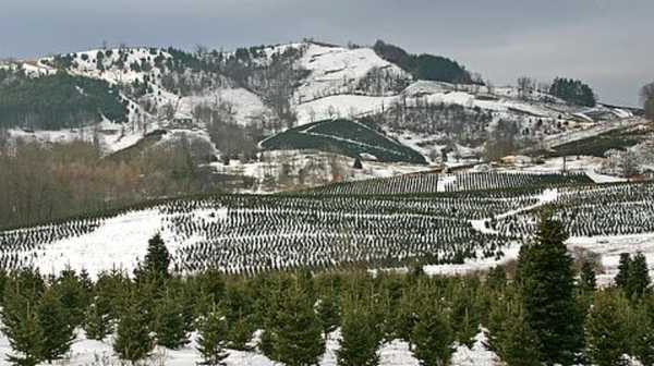 Blue Ridge Mountains in the snow